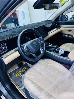 بي واي دي ‎سونغ برو DM-i